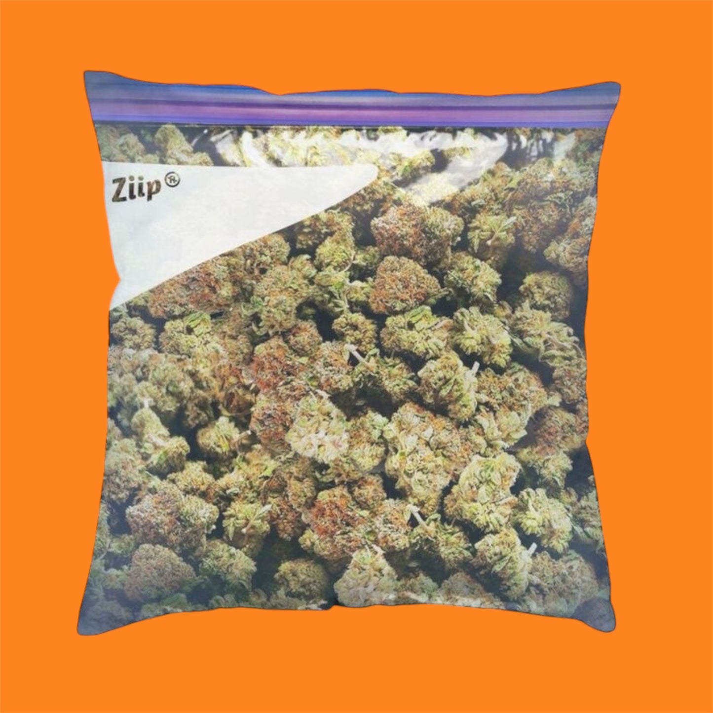 Weed Zip Lock Pillow Case Extra Large Dank, 16 x16in, 18 x18in, Decorative